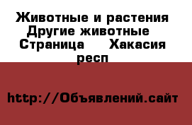 Животные и растения Другие животные - Страница 2 . Хакасия респ.